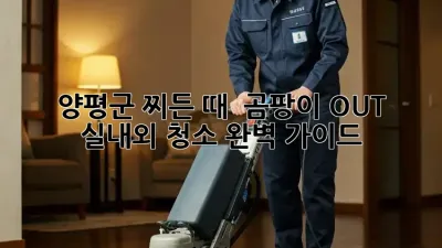 양평군🏡 찌든 때 & 곰팡이 OUT! 실내외 청소🧹 완벽 가이드